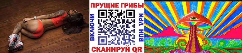 Галлюциногенные грибы Cubensis  Тогучин 